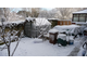 a1072569-Jago in snow.jpg